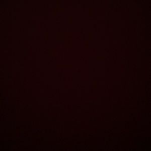 Meet your Posher, Damiien